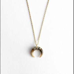 & Other Stories Cresent Horn Pendant Necklace